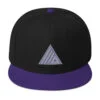 Monochromatic Hype Snapback