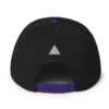 HypeDefiant Snapback