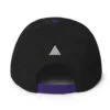 HypeDefiant Snapback